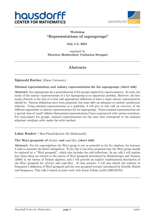 Book of Abstracts_Workshop Represenstations of supergroups.pdf