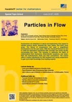 Poster_HS_Schubert Particles in Flow.pdf